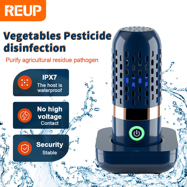 Vegetable Disinfection Machine Technination